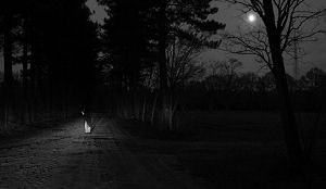 Cafégast verdwaalt in Duits bos