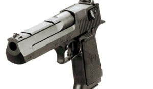 Fransen uit restaurant in Niger ontvoerd