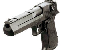 Fransen uit restaurant in Niger ontvoerd