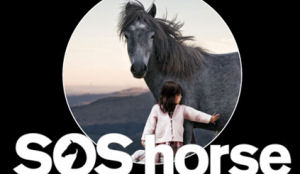 Cateraar op de bres voor mishandelde paarden