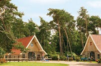 Landal beloond voor klantprestatie