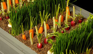 Partycateraars moeten het heft in handen nemen