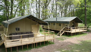 Landal haakt in op glamping