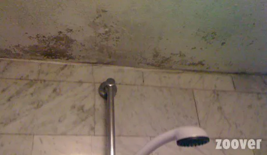 Beste en slechtste hotel van Nederland 2011