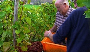 Cateraar Ria Joosten speelt rol bij keurmerk Limburgse producten