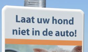 Strandtent waarschuwt voor hond achterlaten in auto