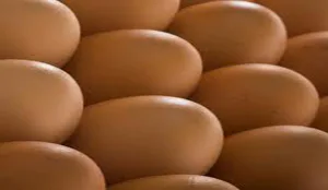 Leden Veneca naderen 10 procent duurzame inkoop