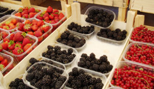 Schoolkantine Award 2011, laatste kans