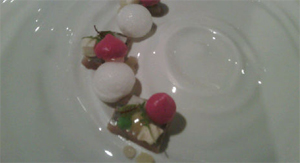 Jelle Jansen wint Haringmaster 2011