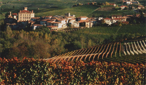 Catalaanse minister: 'Drink alleen wijn uit eigen streek