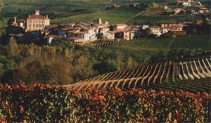 Catalaanse minister: 'Drink alleen wijn uit eigen streek