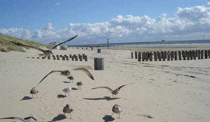 Hotels Zeeland werken samen voor betere scholing