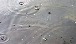 'Slechte tijden strandpaviljoens Noordzeekust