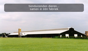 Wakker Dier in actie tegen dierenleed in bedrijfsrestaurants