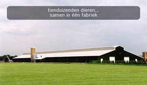 Wakker Dier in actie tegen dierenleed in bedrijfsrestaurants