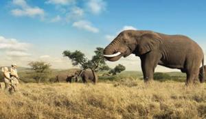 Hotel in Kruger Park hangt af van milieueisen