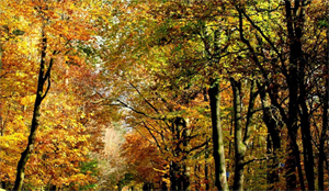 Drie oktober opening Bockbierseizoen 2011