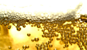 Bieropleiding voor sommeliers