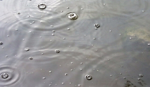 Natte zomer geen ramp voor strandhoreca