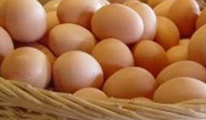 Eurest maakt omelet legbatterij-eivrij