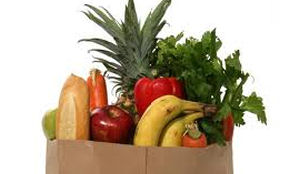 Jongeren bezig met milieu en dierenwelzijn