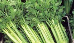 Medewerkers Lelystad eten Broodje van de Streek