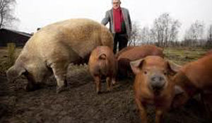 Zorg zet biologisch van eigen bodem op menu