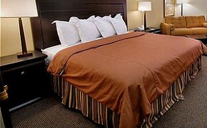 Bedrijven kijken weinig naar hotelsterren