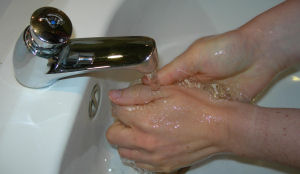 Gegevens hygiëne moeten straks openbaar gemaakt worden