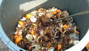 Cateraars onderzoeken voedselverspilling