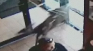 Hert rent door restaurantdeur naar binnen