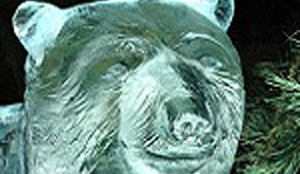 Slapen bij -8 graden in ijshotel Zwolle