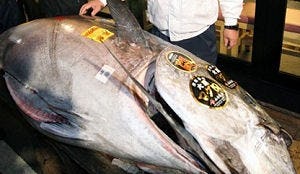 Restaurant koopt tonijn voor 567.000 euro