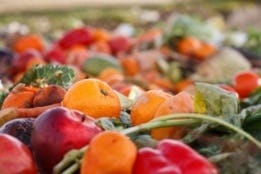 Europa kijkt verlekkerd naar Nederlandse aanpak voedselverspilling