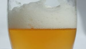 PINT wil verplichte bieropleiding in cafébranche