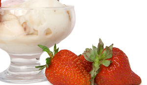 IJscafé Holland wint Gouden IJsspatel