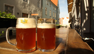 Terrasonderzoek: speciaalbieren in opkomst