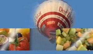 De Elstar Catering heeft eigen luchtballon