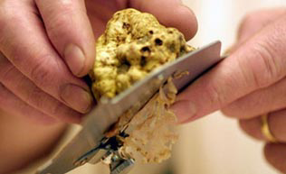 Recordtruffel op veiling New York