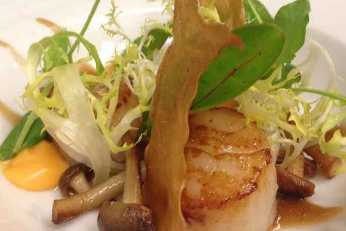 Nieuwkomer in Lekker 2015 stopt