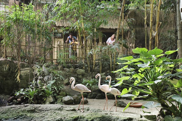 Center Parcs breidt uit in België