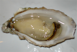 NK Oestersteken staat voor de deur