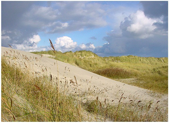 Nederlandse kust blijft populair bij de buren