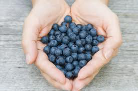 Powerfood op Vakbeurs Facilitair