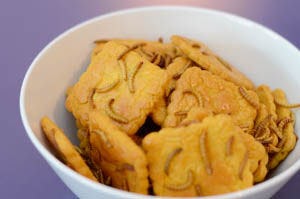 Facility managers geïnformeerd over duurzaam innoveren