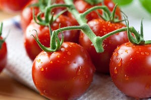 SAB plaatst Hollandse groenten op de kaart