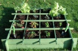 AOC wil eigen groente gaan telen