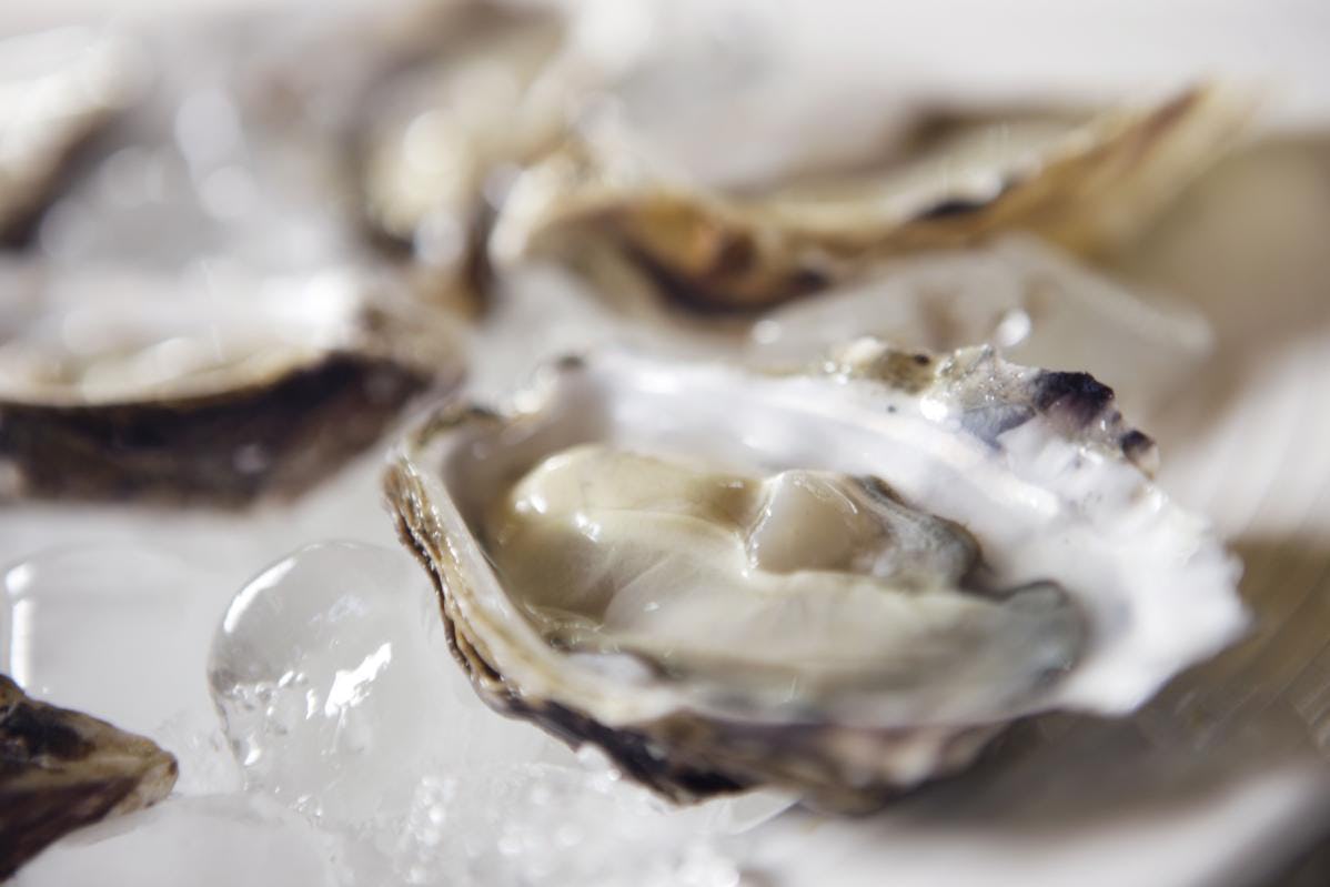 Nederlands oesterseizoen officieel geopend