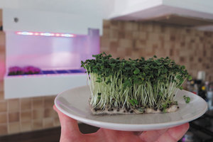 Appèl lanceert kruidentuintje CressToday