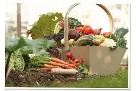 Speciaal programma van Eurest zet gasten aan tot gezonder eten